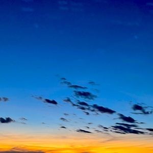 Meet your Posher, Cinsonya